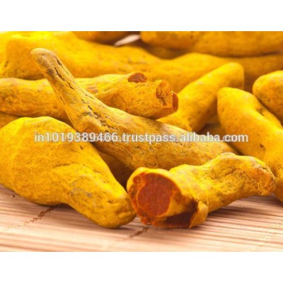 High Circuma Golden Turmeric Finger